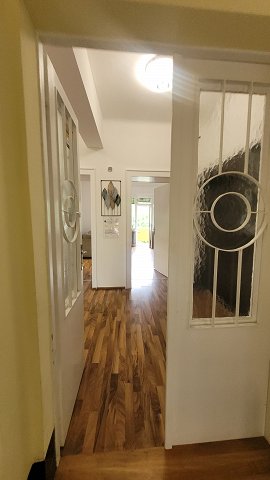 Ive Lole Ribara 6, Novi Sad