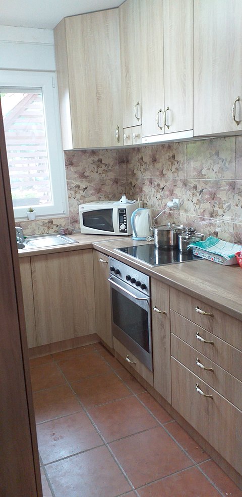 Srbobran Vojvo, Srbobran