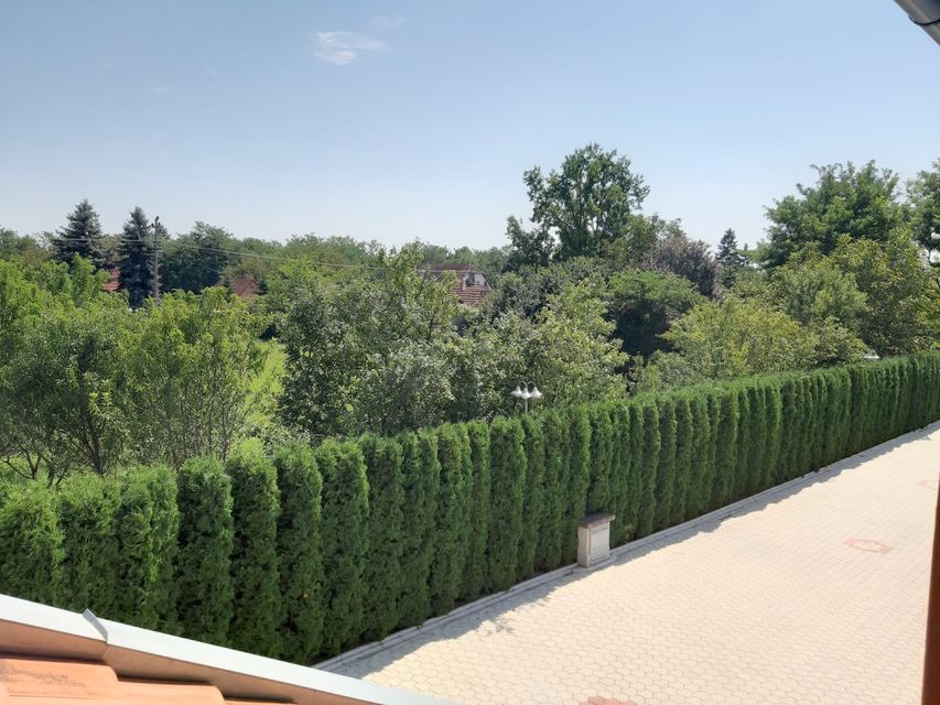 Vrnjačka 23, Palić - 9