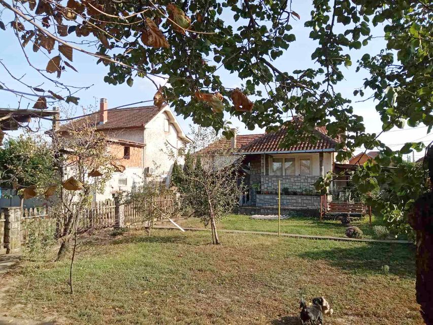 Segdina 8, Smederevo - 8