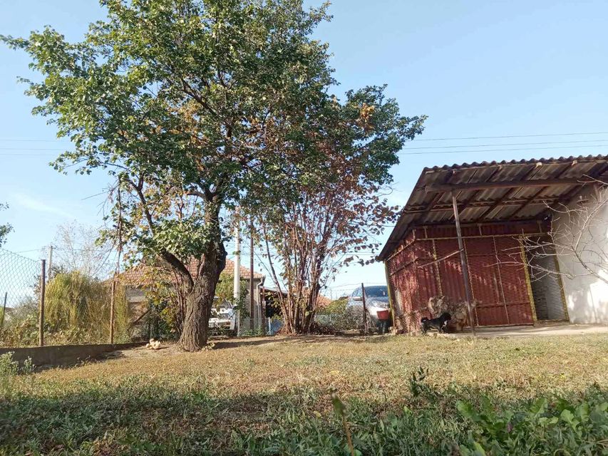 Segdina 8, Smederevo - 11