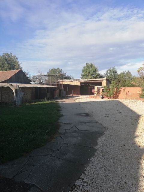 Košut Lajoša 12, Nova Crnja - 5