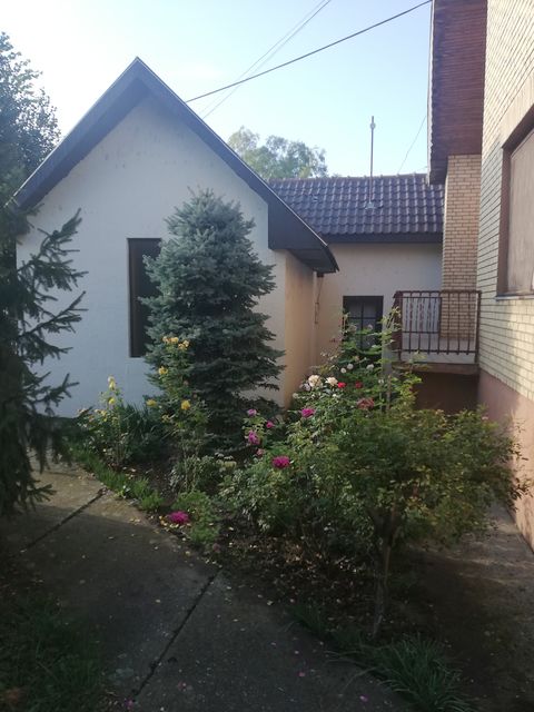 Košut Lajoša 12, Nova Crnja - 3