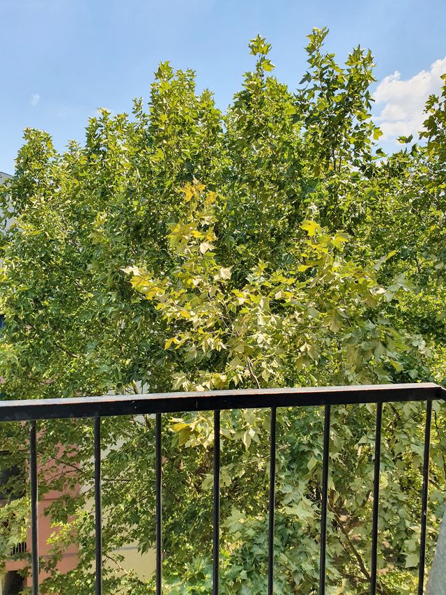 Episkopa Save 10, Kragujevac - 6