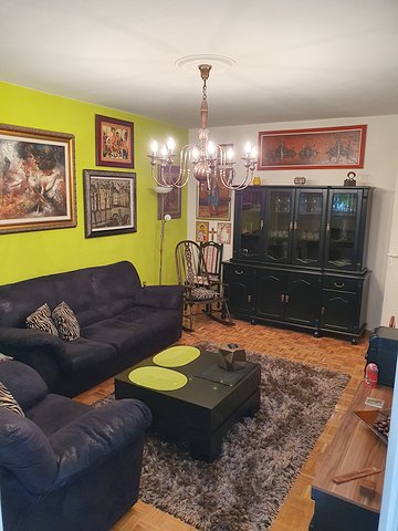 Balzakova xx, Novi Sad