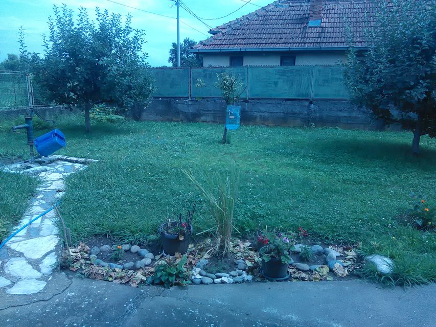 Beogradska 14, Mataruška Banja - 5