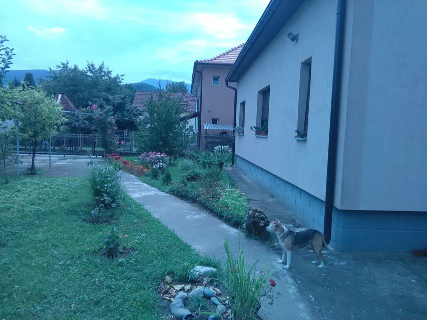 Beogradska 14, Mataruška Banja - 2