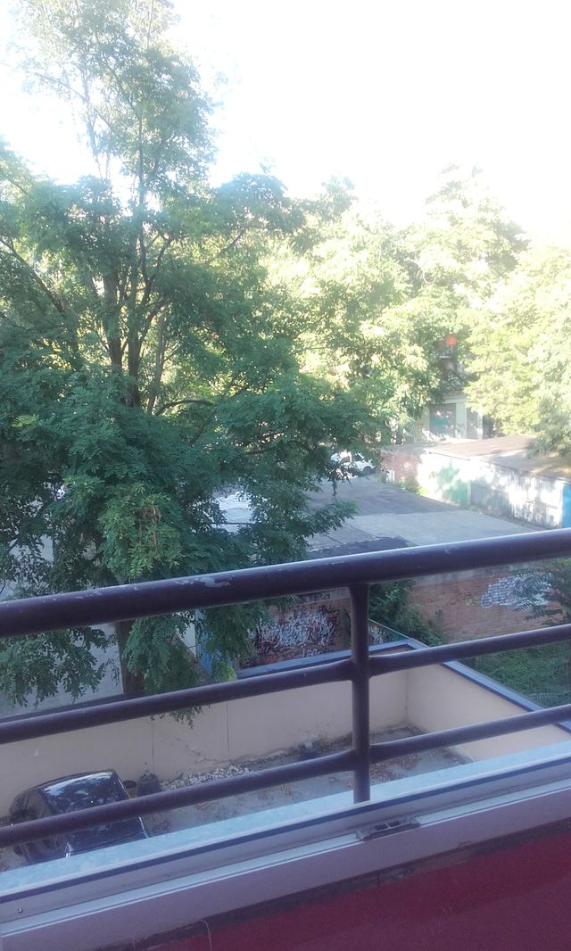 Gogoljeva 34, Novi Sad - 11