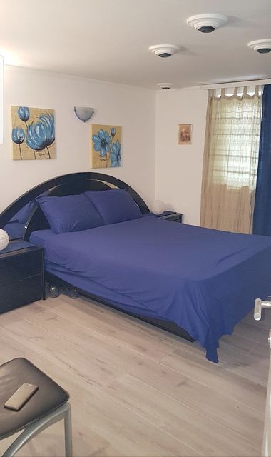 Mickijevičeva 11, Beograd - 6