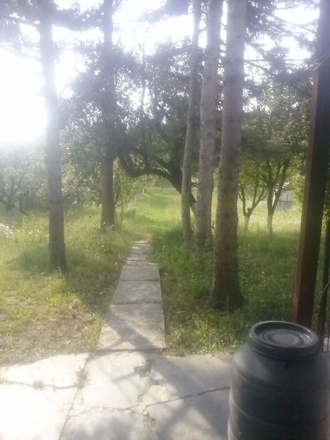 Zminjačka 25, Đurinci - 13