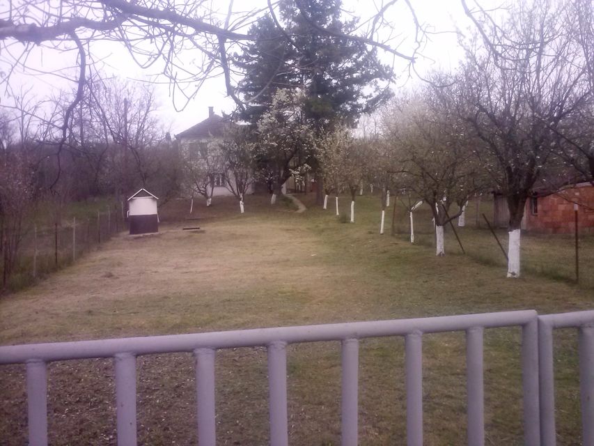 Zminjačka 25, Đurinci - 2