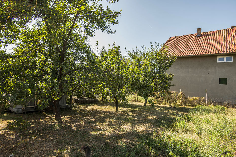 Žarka Zrenjanina 87, Mramorak - 2