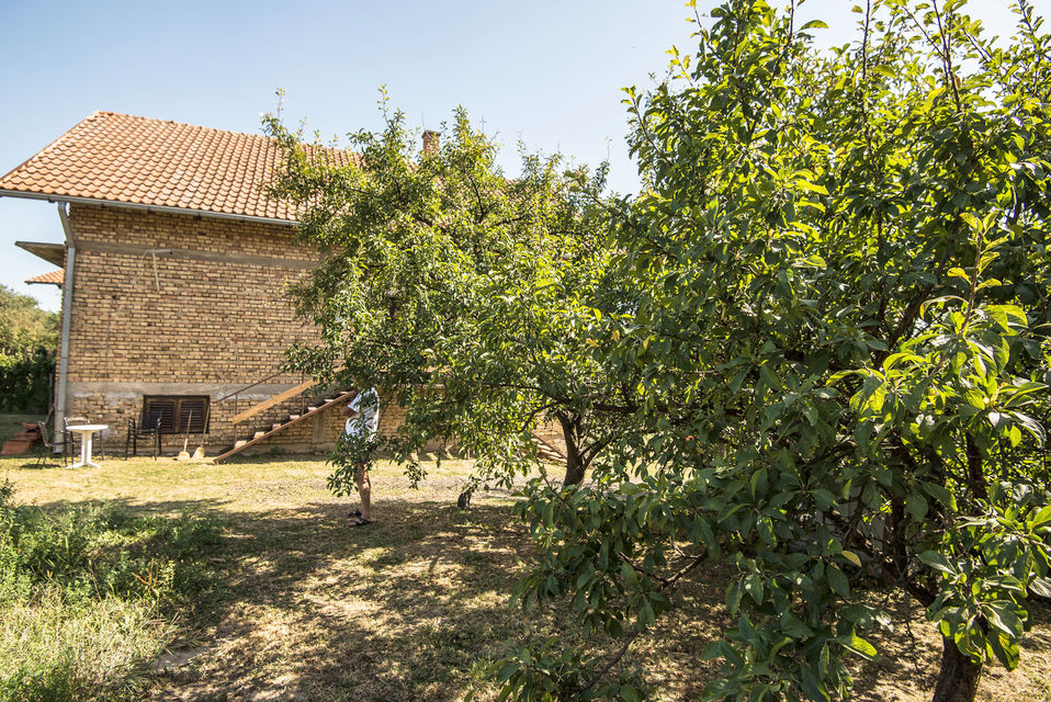 Žarka Zrenjanina 87, Mramorak - 9