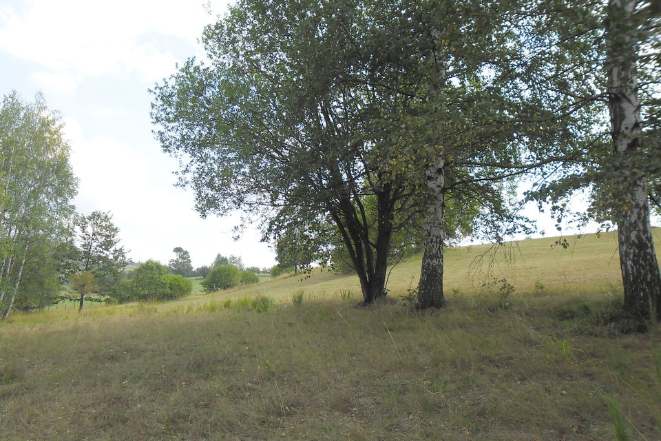 Rudine bb, Zlatibor - 3