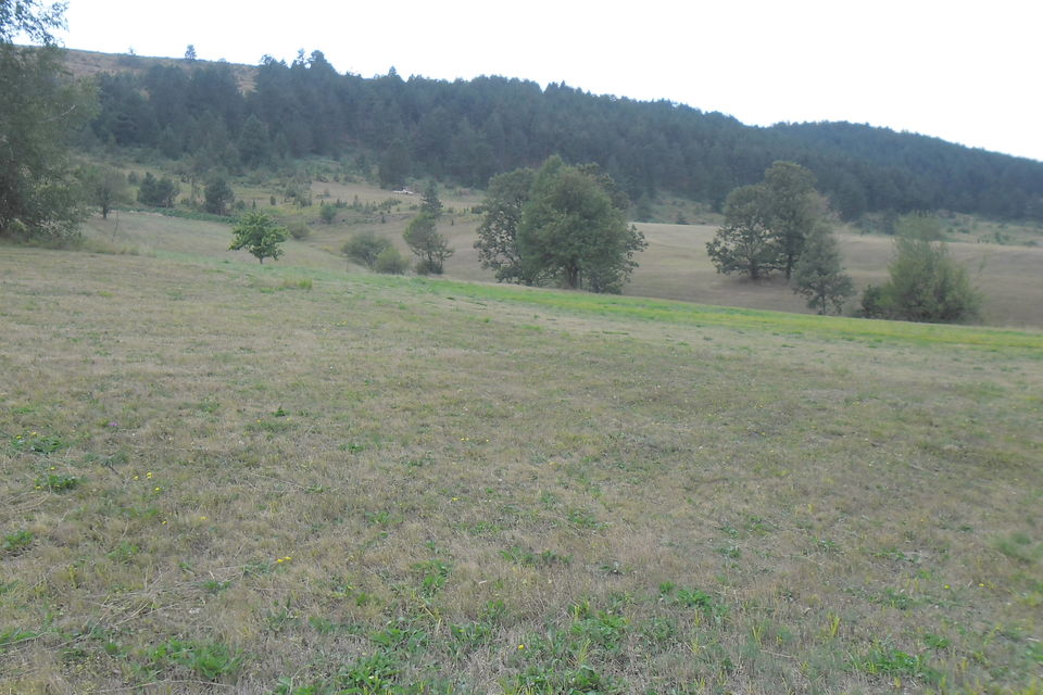 Rudine bb, Zlatibor - 4