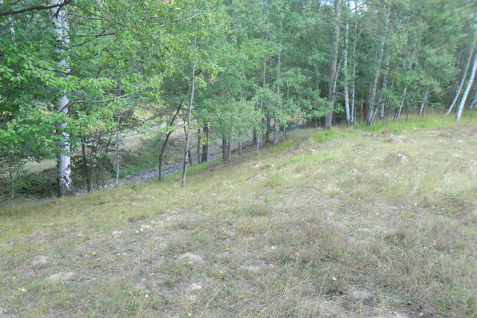 Rudine bb, Zlatibor - 2