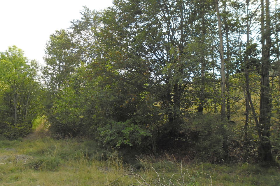 Rudine bb, Zlatibor - 5