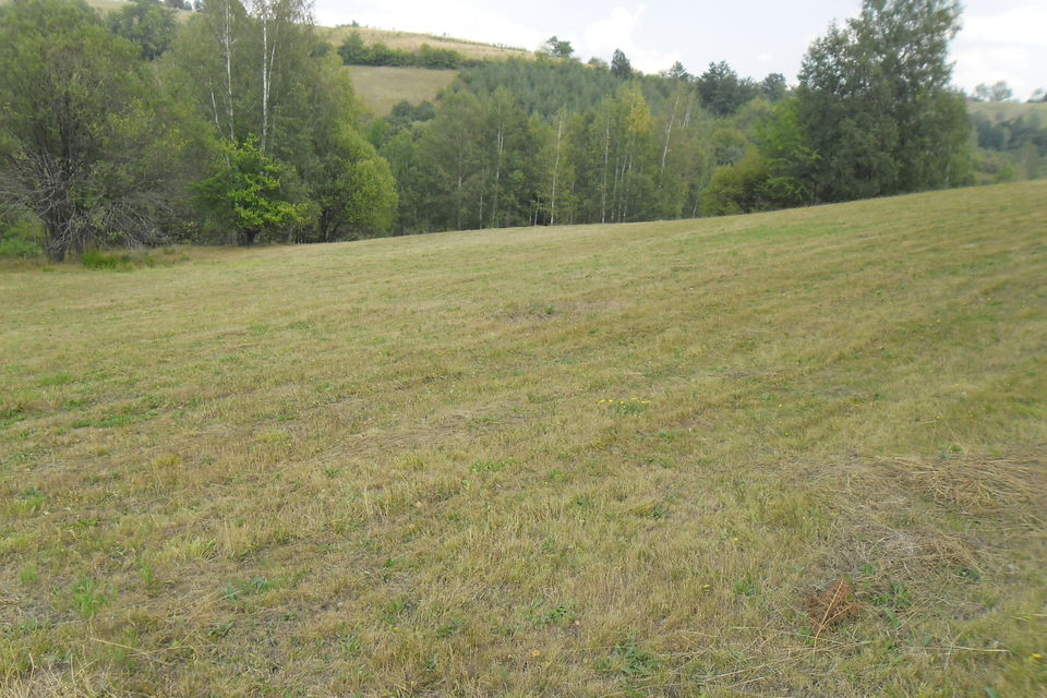 Rudine bb, Zlatibor - 1