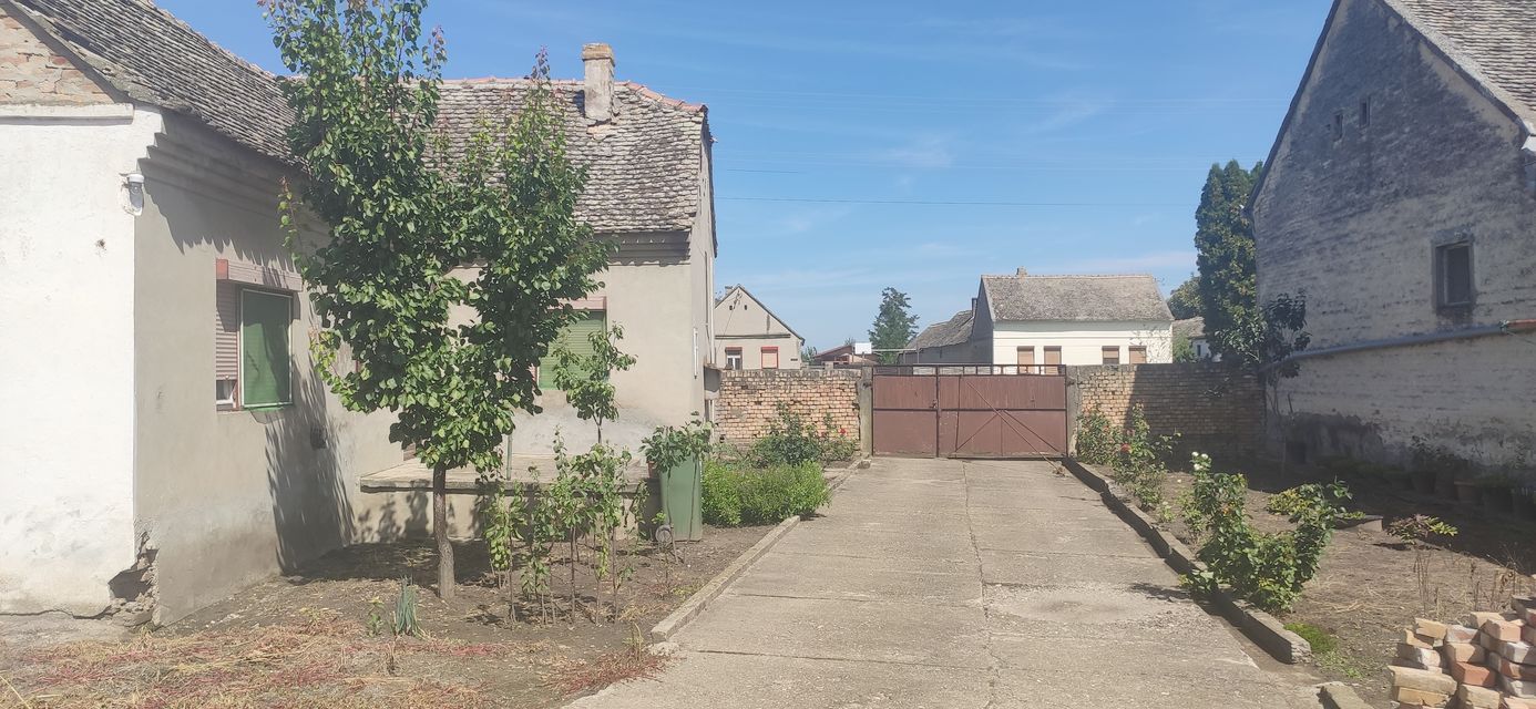 Putinačka 187, Golubinci - 6