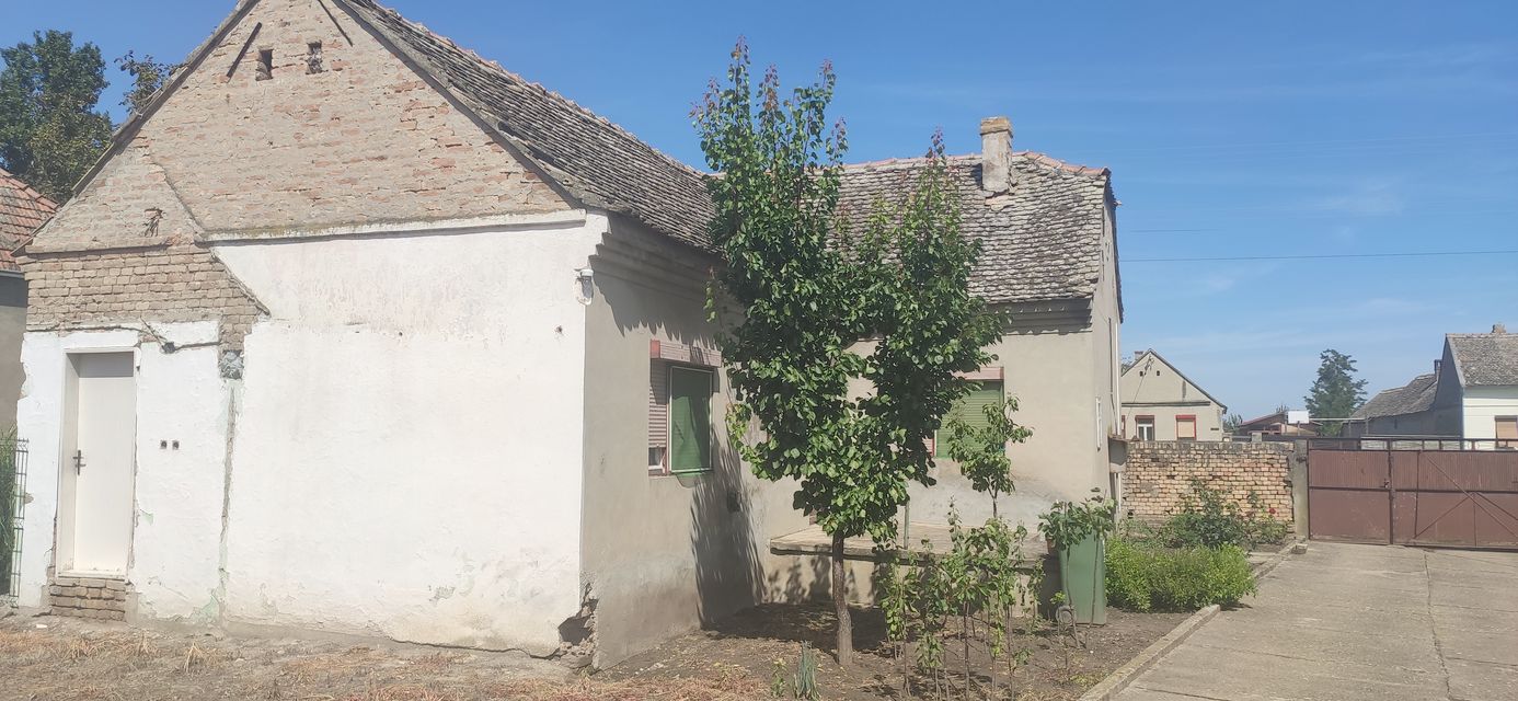 Putinačka 187, Golubinci - 5