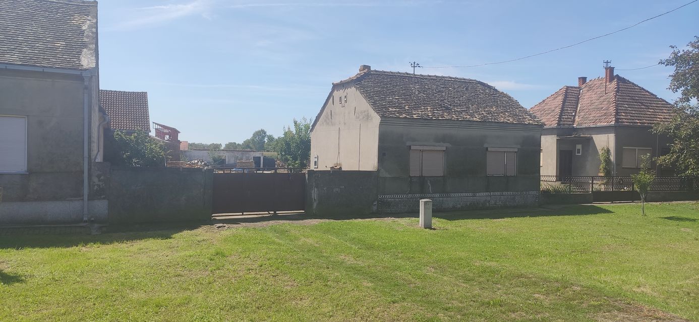 Putinačka 187, Golubinci - 1