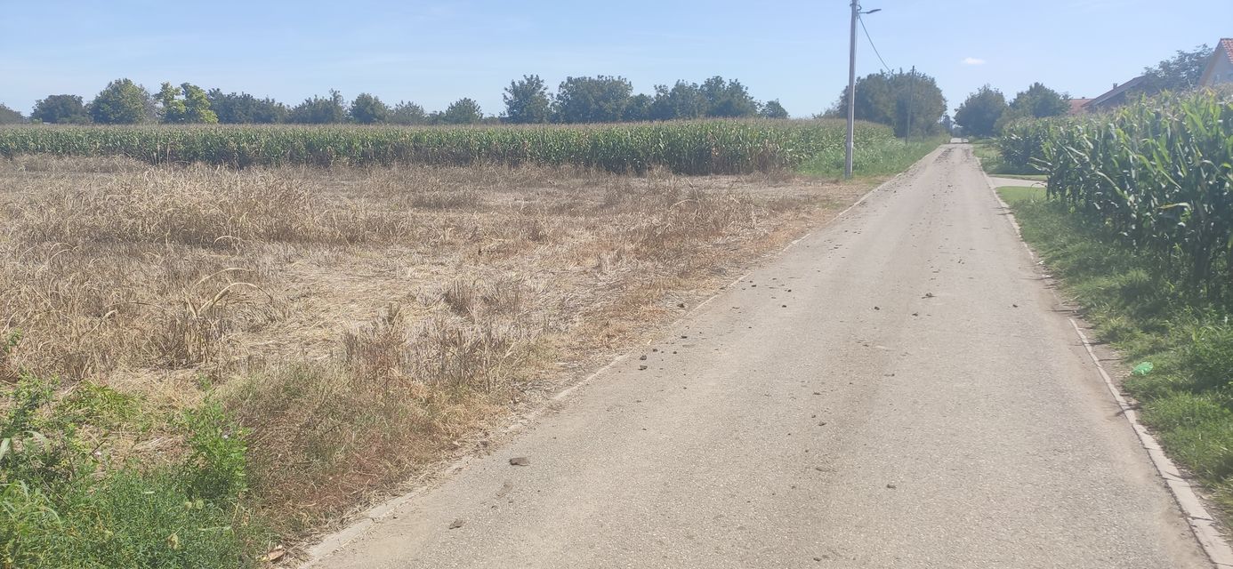 Putinačka 187, Golubinci - 11