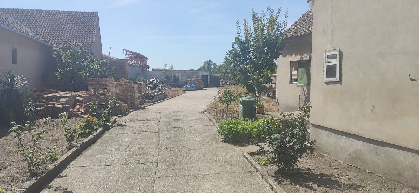 Putinačka 187, Golubinci - 4