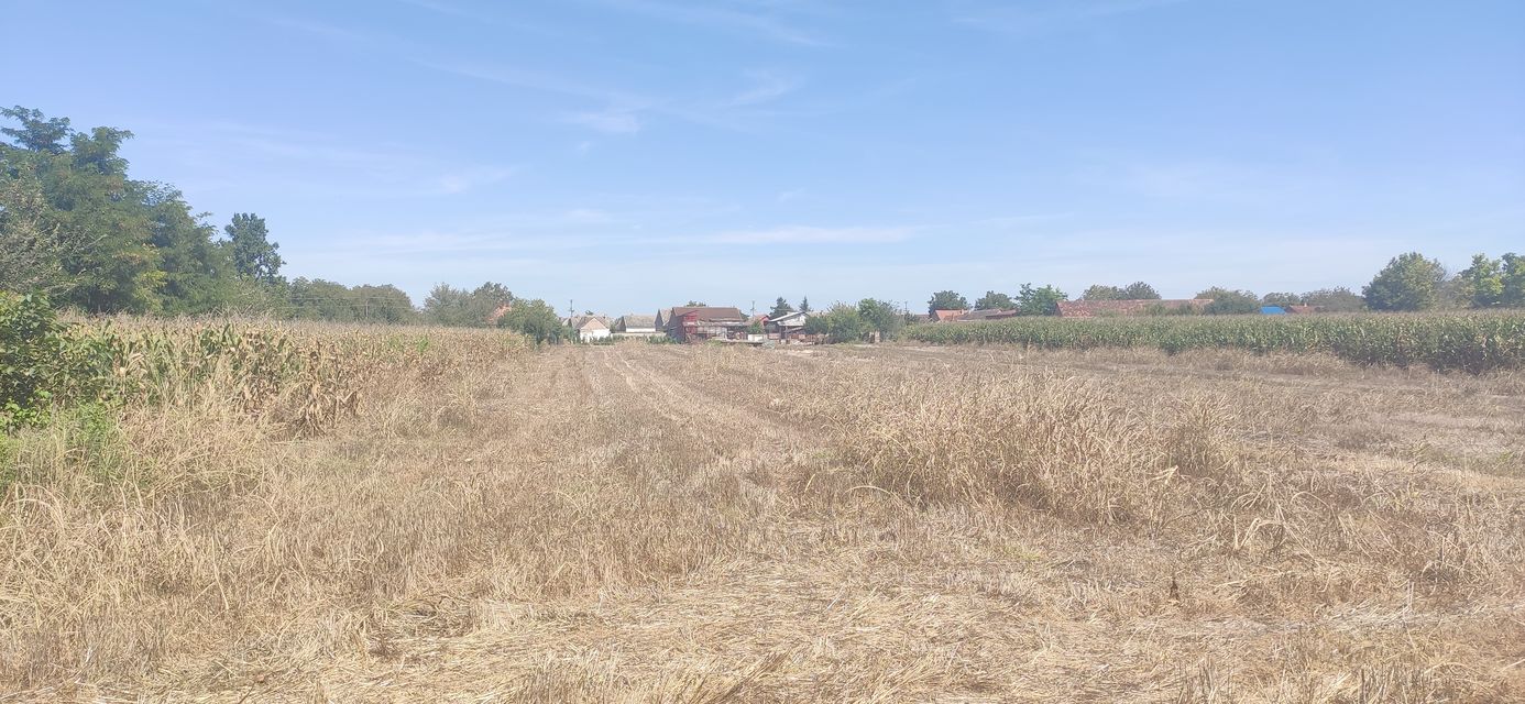 Putinačka 187, Golubinci - 12