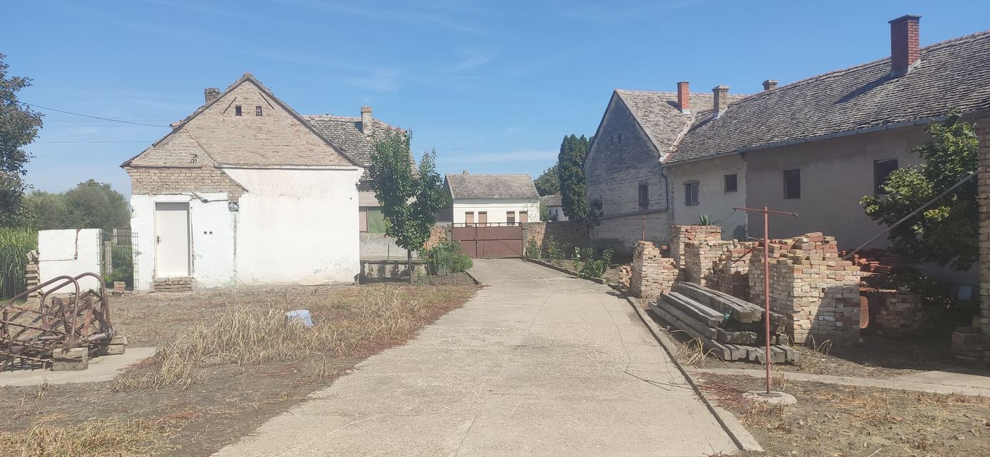 Putinačka 187, Golubinci - 8