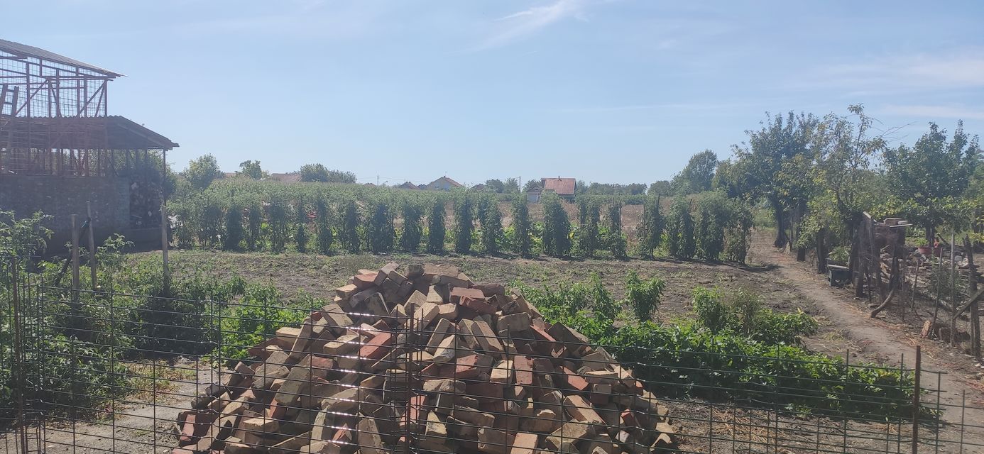 Putinačka 187, Golubinci - 10