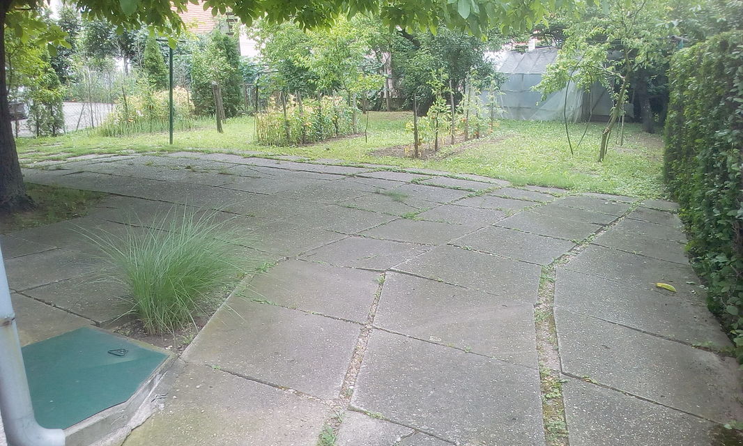 Vinogradska 6, Požarevac - 7