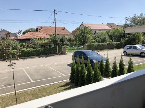 Puškinova 7v, Beograd - 5