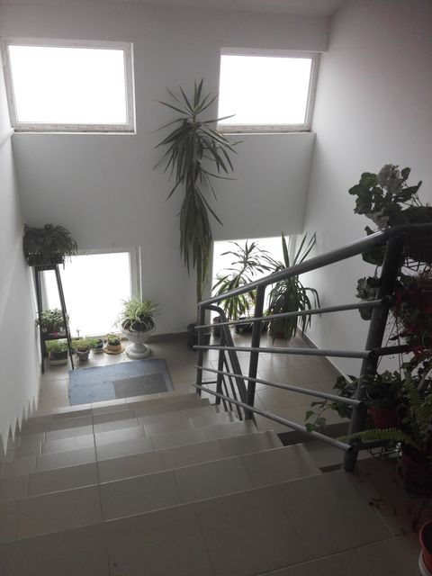 Veletinska 8, Beograd - 6