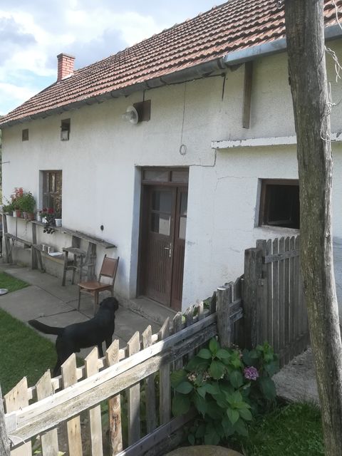  Milutina Milankovića 38, Ruđinci - 9