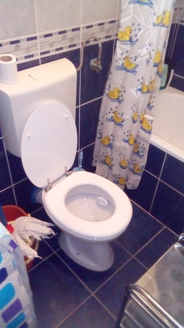 Sedamnaestog oktobra 42C, Beograd - 5