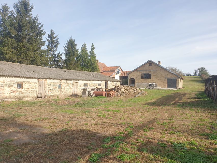 Vinogradi 50, Vrbas - 13