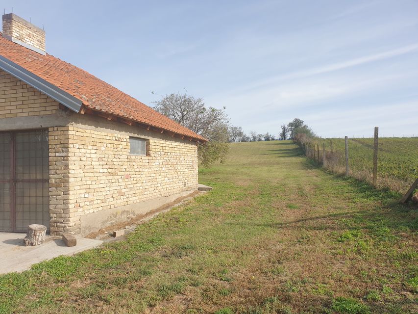 Vinogradi 50, Vrbas - 16