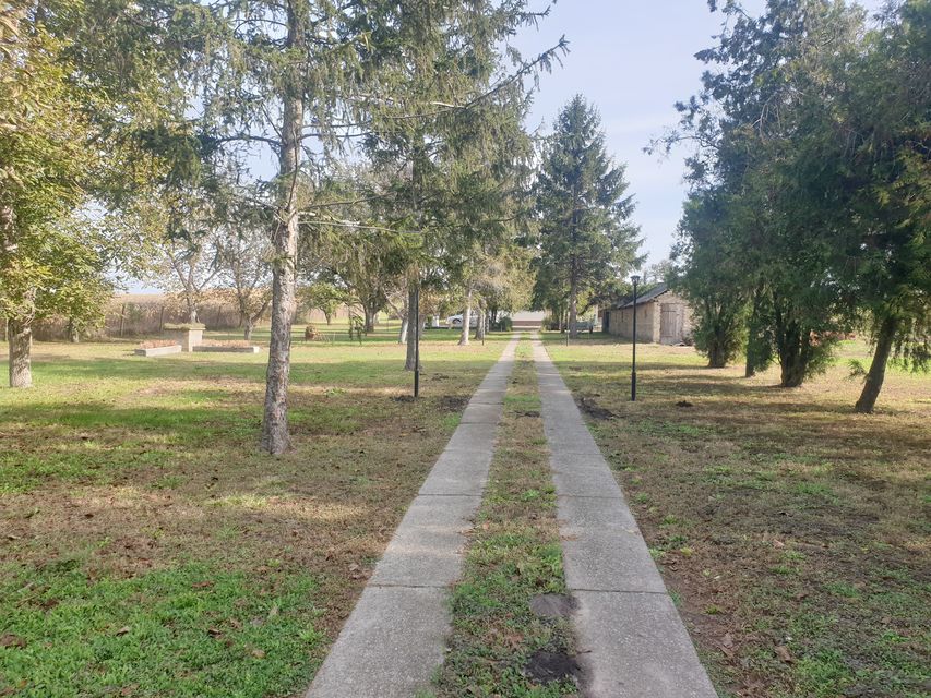 Vinogradi 50, Vrbas - 3