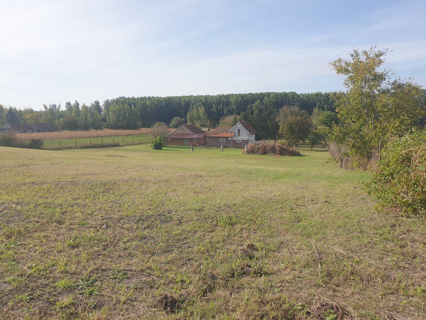 Vinogradi 50, Vrbas - 8