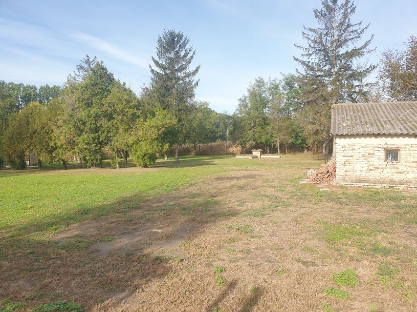 Vinogradi 50, Vrbas - 14