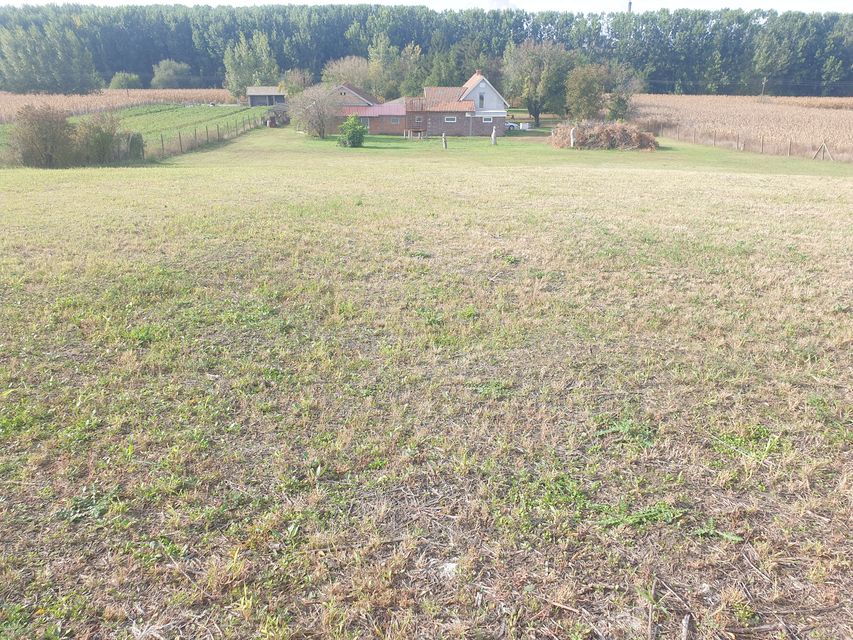 Vinogradi 50, Vrbas - 5