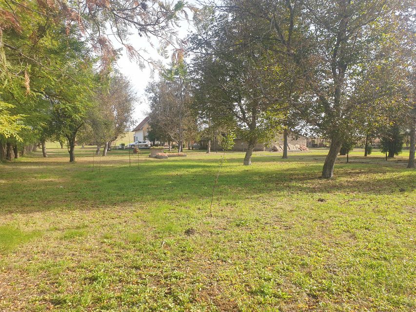 Vinogradi 50, Vrbas - 12