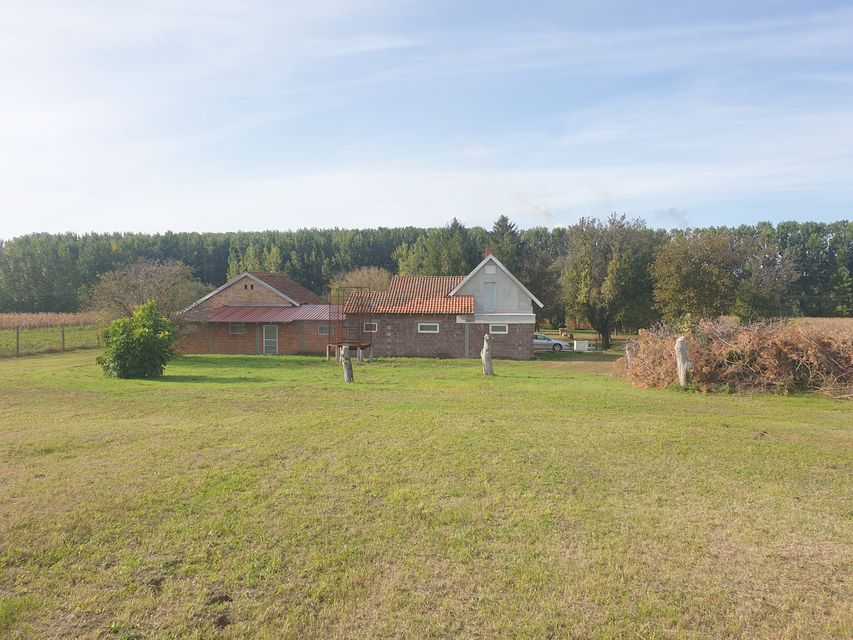 Vinogradi 50, Vrbas - 7