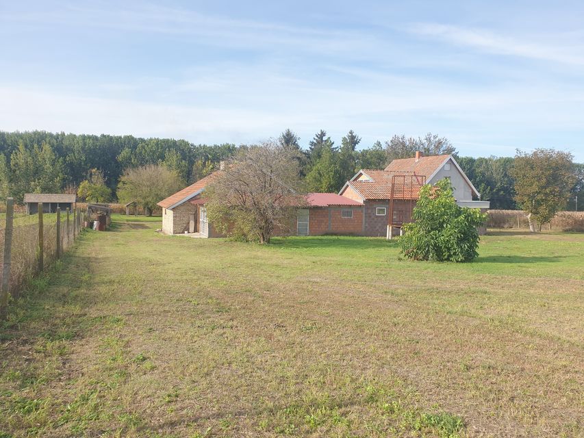 Vinogradi 50, Vrbas - 6