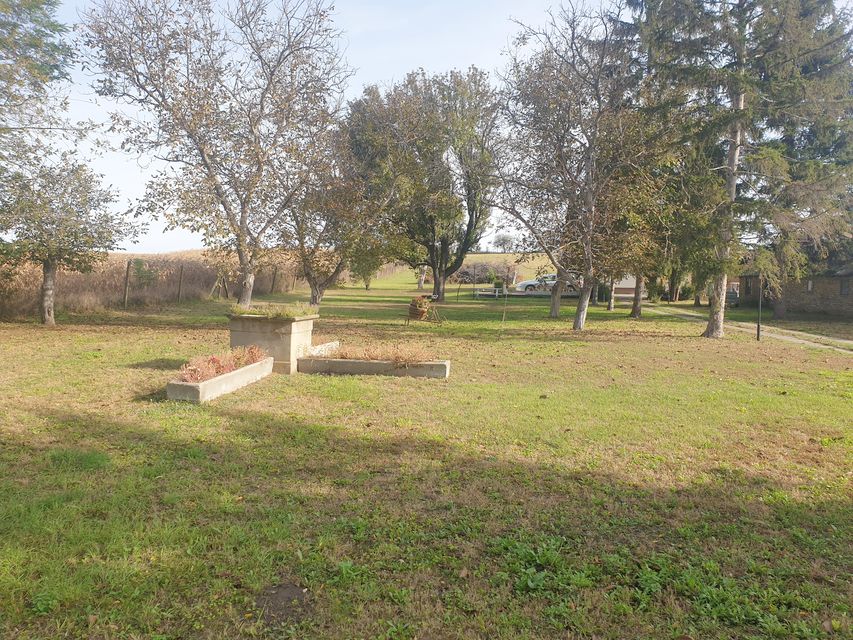 Vinogradi 50, Vrbas - 4