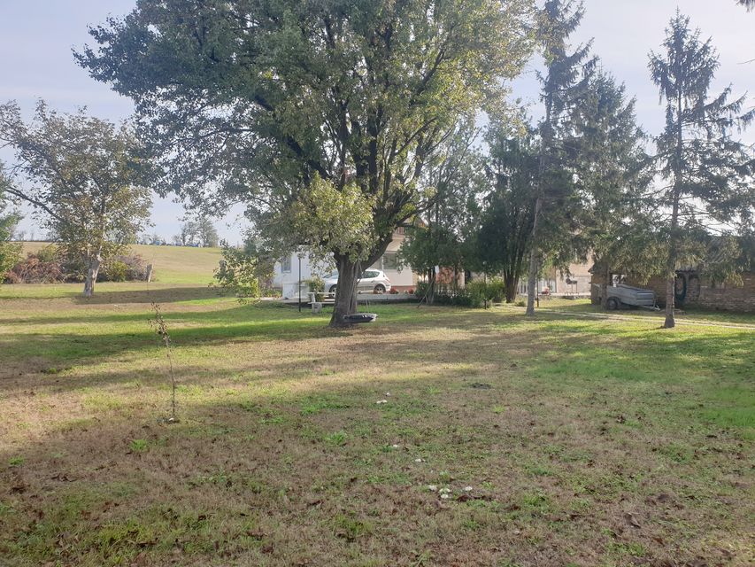 Vinogradi 50, Vrbas - 19