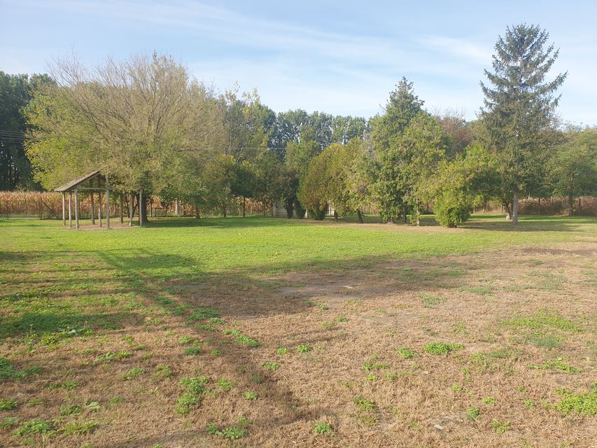 Vinogradi 50, Vrbas - 15