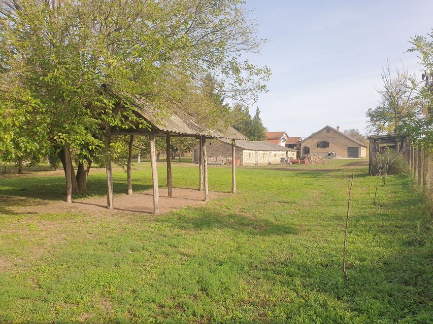 Vinogradi 50, Vrbas - 11