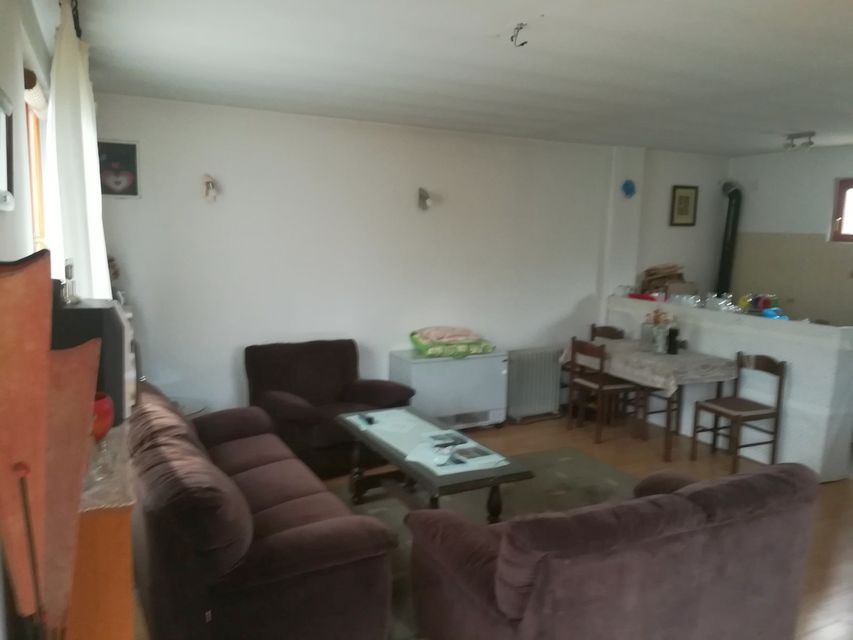 Živka Petrovića 5, Beograd