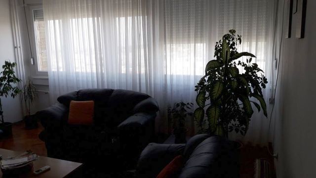 Despota Olivera 2, Beograd - 14